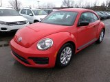 Tornado Red Volkswagen Beetle in 2018