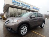 2014 Urban Titanium Metallic Honda CR-V EX AWD #126382226