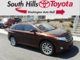 2009 Golden Umber Mica Toyota Venza I4 #126678485