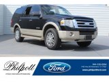 Black Ford Expedition in 2007