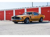 Ford Mustang 1970 Data, Info and Specs