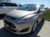 White Gold Ford C-Max in 2018