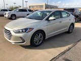 2018 Mineral Beige Hyundai Elantra Value Edition #127083560