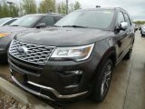 2018 Magnetic Metallic Ford Explorer Platinum 4WD #127129921