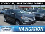 2018 Magnetic Ford Edge SEL AWD #127180691