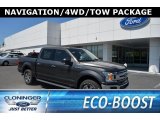 2018 Magnetic Ford F150 XLT SuperCrew 4x4 #127180684