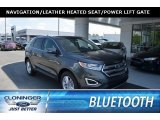 2018 Magnetic Ford Edge SEL #127180702