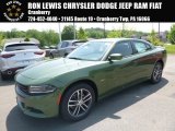 2018 F8 Green Dodge Charger GT AWD #127590769