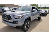 Cement Toyota Tacoma in 2018