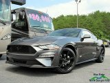 2018 Magnetic Ford Mustang EcoBoost Fastback #127667803