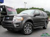 2017 Magnetic Ford Expedition XLT 4x4 #127710017