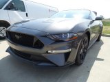 2018 Magnetic Ford Mustang GT Fastback #127776772