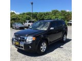 2011 Ford Escape Limited V6 4WD