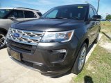 2018 Magnetic Metallic Ford Explorer XLT 4WD #127906770