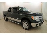 2013 Ford F150 XLT SuperCrew 4x4