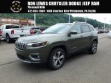2019 Olive Green Pearl Jeep Cherokee Limited 4x4 #128089989