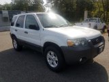 2007 Oxford White Ford Escape XLT V6 4WD #128248576