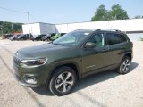 2019 Olive Green Pearl Jeep Cherokee Limited 4x4 #128248381