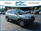 2006 Alpine Frost Hyundai Tucson GLS V6 #128286446