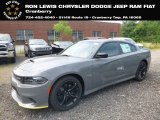 2018 Destroyer Gray Dodge Charger R/T #128478283