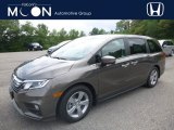 2019 Pacific Pewter Metallic Honda Odyssey EX-L #128602270