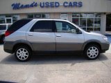 2005 Platinum Metallic Buick Rendezvous CX #12857665