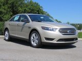 White Gold Ford Taurus in 2018