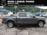2017 Magnetic Ford F150 XL SuperCrew 4x4 #128891825