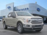 White Gold Ford F150 in 2018