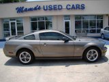 2005 Mineral Grey Metallic Ford Mustang GT Deluxe Coupe #12857685