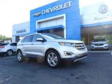 2018 Ingot Silver Ford Edge Titanium #128966908