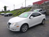 2008 Volkswagen Eos 2.0T