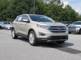 White Gold Ford Edge in 2018