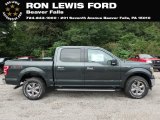 2018 Guard Ford F150 XLT SuperCrew 4x4 #129259034