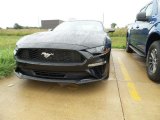 2019 Shadow Black Ford Mustang EcoBoost Premium Fastback #129311409