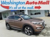 Mojave Sand Hyundai Tucson in 2017