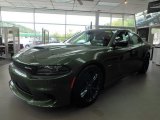 2019 F8 Green Dodge Charger R/T #129616387