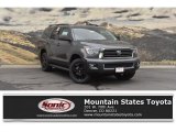 2019 Magnetic Gray Metallic Toyota Sequoia TRD Sport 4x4 #129642718