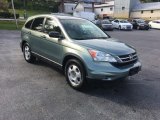 2010 Opal Sage Metallic Honda CR-V LX AWD #129673396