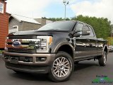 2019 Agate Black Ford F250 Super Duty King Ranch Crew Cab 4x4 #129673021