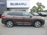 Cinnamon Brown Pearl Subaru Ascent in 2019