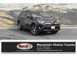 2018 Toyota RAV4 XLE AWD