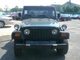 2001 Forest Green Jeep Wrangler SE 4x4 #12956391