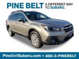 2019 Tungsten Metallic Subaru Outback 2.5i Premium #129946782