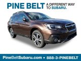 2019 Cinnamon Brown Pearl Subaru Outback 2.5i Limited #129946774