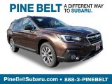 2019 Cinnamon Brown Pearl Subaru Outback 2.5i Touring #129946767