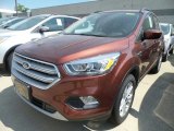 2018 Cinnamon Glaze Ford Escape SEL 4WD #130154746