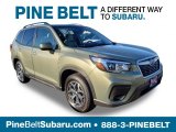 2019 Subaru Forester 2.5i Premium