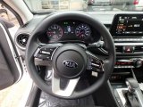 2019 Kia Forte LXS Steering Wheel