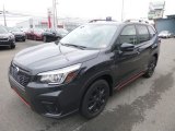 Dark Gray Metallic Subaru Forester in 2019